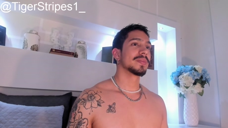 tigerstripees  30-12-2021